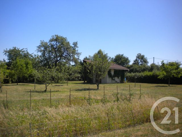 terrain - CHAMPILLET - 36
