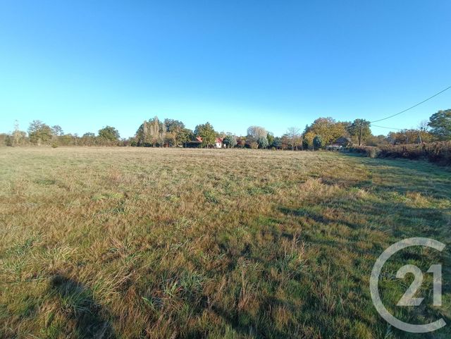 Terrain à vendre MERS SUR INDRE