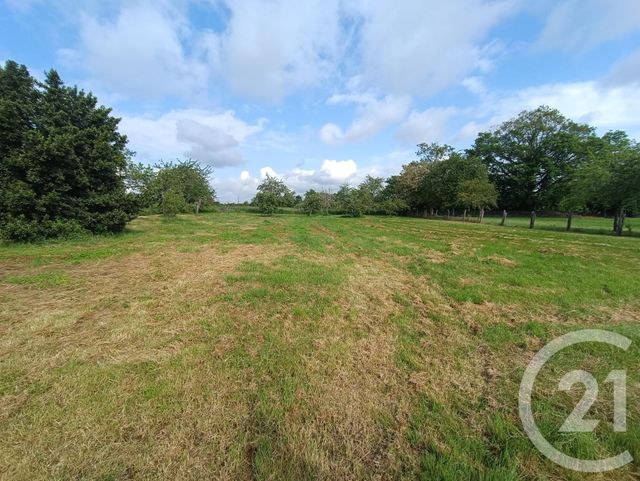 maison à vendre - 3 pièces - 82.2 m2 - THEVET ST JULIEN - 36 - CENTRE - Century 21 Agence De L'Europe