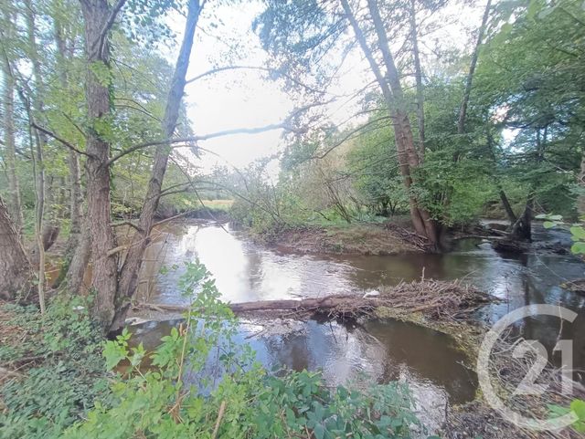 maison à vendre - 9 pièces - 253.1 m2 - CHASSIGNOLLES - 36 - CENTRE - Century 21 Agence De L'Europe