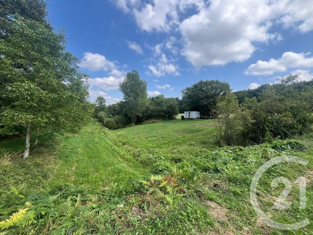 terrain à vendre - 14264.0 m2 - CHASSIGNOLLES - 36 - CENTRE - Century 21 Agence De L'Europe