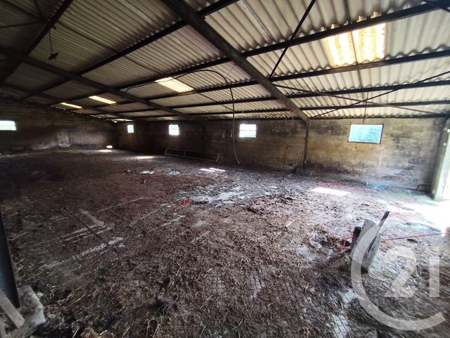 maison à vendre - 4 pièces - 116.4 m2 - LA BERTHENOUX - 36 - CENTRE - Century 21 Agence De L'Europe