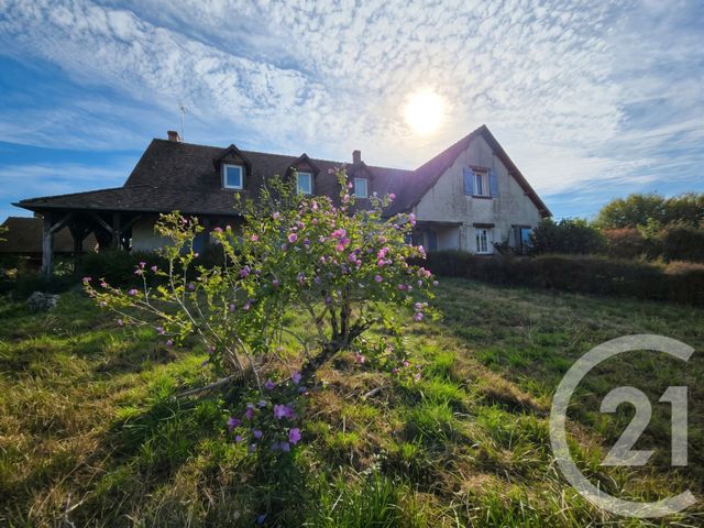 maison - MONTGIVRAY - 36