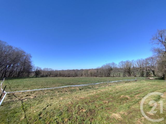 Afficher la photo en grand maison à vendre - 6 pièces - 158.2 m2 - VICQ EXEMPLET - 36 - CENTRE - Century 21 Agence De L'Europe