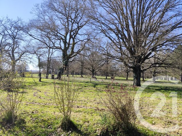 Afficher la photo en grand maison à vendre - 6 pièces - 158.2 m2 - VICQ EXEMPLET - 36 - CENTRE - Century 21 Agence De L'Europe