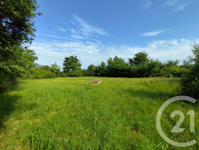 Afficher la photo en grand maison à vendre - 2 pièces - 99.5 m2 - VICQ EXEMPLET - 36 - CENTRE - Century 21 Agence De L'Europe