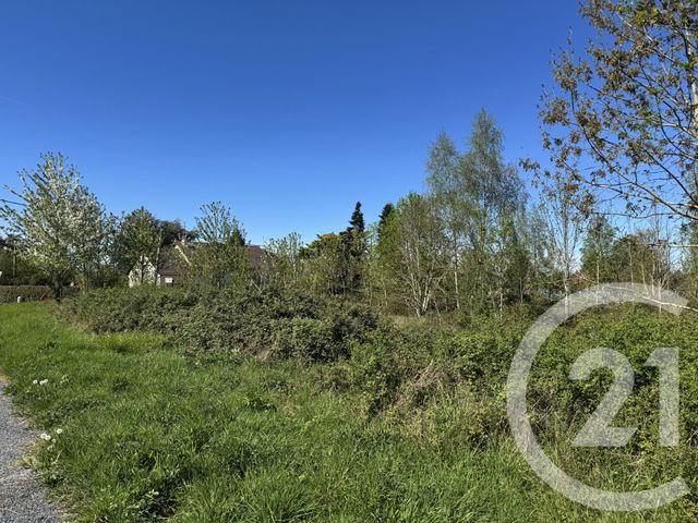 terrain à vendre - 1500.0 m2 - LA CHATRE - 36 - CENTRE - Century 21 Agence De L'Europe
