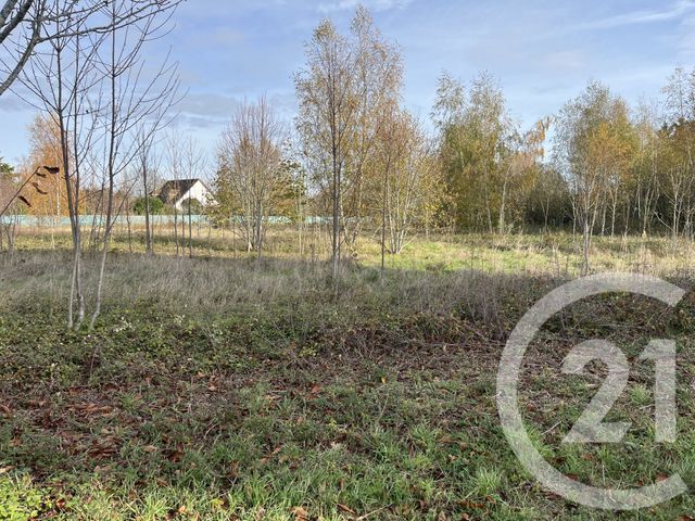 terrain à vendre - 2000.0 m2 - LA CHATRE - 36 - CENTRE - Century 21 Agence De L'Europe