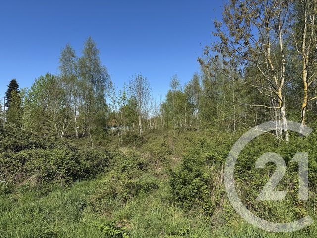 terrain à vendre - 1500.0 m2 - LA CHATRE - 36 - CENTRE - Century 21 Agence De L'Europe