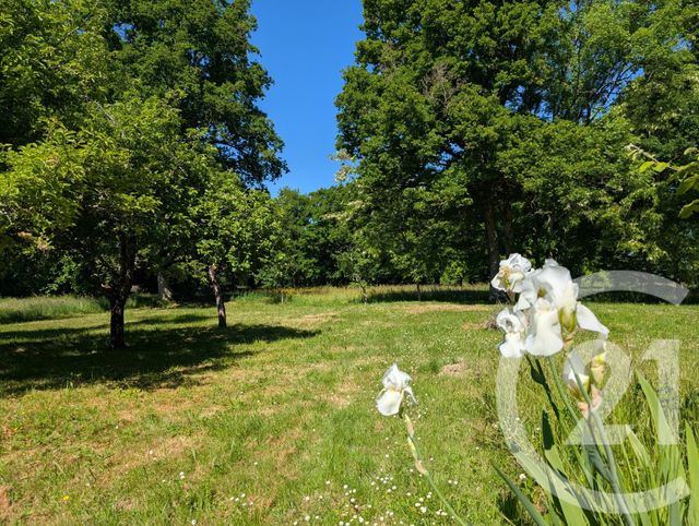 Afficher la photo en grand maison à vendre - 3 pièces - 84.0 m2 - MERS SUR INDRE - 36 - CENTRE - Century 21 Agence De L'Europe