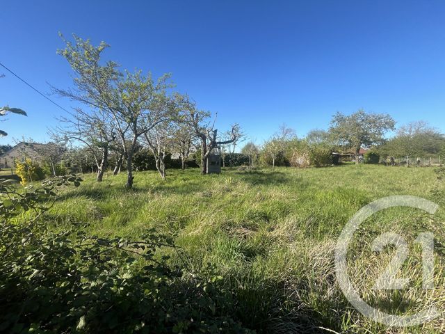 terrain à vendre - 1150.0 m2 - LA CHATRE - 36 - CENTRE - Century 21 Agence De L'Europe