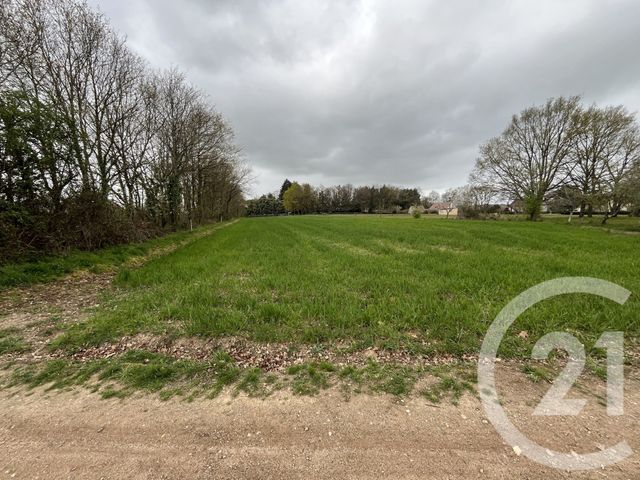 terrain à vendre - 6839.0 m2 - LE MAGNY - 36 - CENTRE - Century 21 Agence De L'Europe