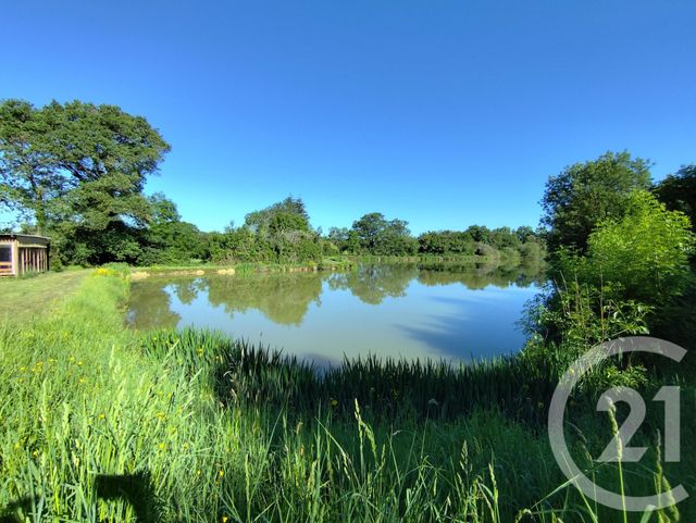 divers à vendre - 27710.0 m2 - LA BERTHENOUX - 36 - CENTRE - Century 21 Agence De L'Europe