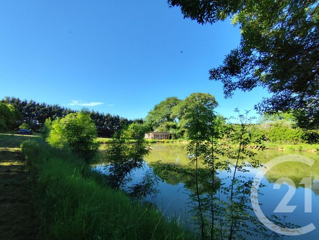 divers à vendre - 27710.0 m2 - LA BERTHENOUX - 36 - CENTRE - Century 21 Agence De L'Europe