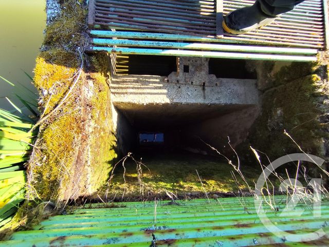 divers à vendre - 27710.0 m2 - LA BERTHENOUX - 36 - CENTRE - Century 21 Agence De L'Europe
