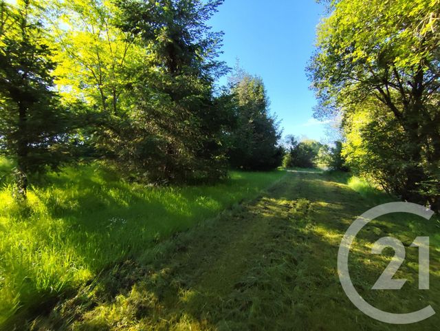 divers à vendre - 27710.0 m2 - LA BERTHENOUX - 36 - CENTRE - Century 21 Agence De L'Europe