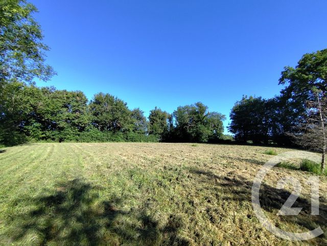terrain à vendre - 27710.0 m2 - LA BERTHENOUX - 36 - CENTRE - Century 21 Agence De L'Europe