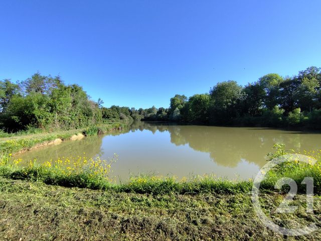 terrain à vendre - 27710.0 m2 - LA BERTHENOUX - 36 - CENTRE - Century 21 Agence De L'Europe