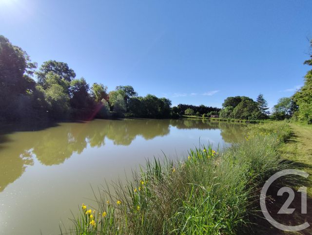 terrain à vendre - 27710.0 m2 - LA BERTHENOUX - 36 - CENTRE - Century 21 Agence De L'Europe