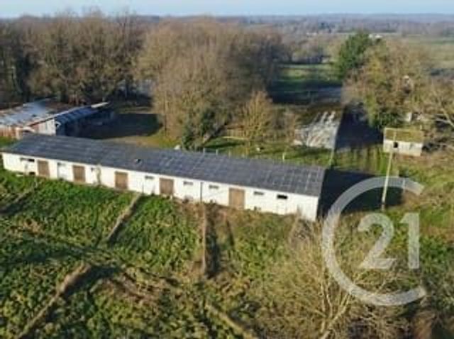 maison à vendre - 1 pièce - 400.0 m2 - VICQ EXEMPLET - 36 - CENTRE - Century 21 Agence De L'Europe