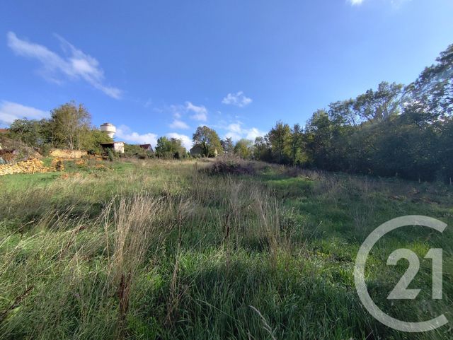 terrain à vendre - 3162.0 m2 - MONTGIVRAY - 36 - CENTRE - Century 21 Agence De L'Europe