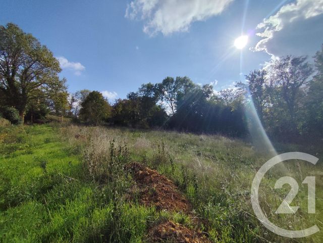 terrain à vendre - 3162.0 m2 - MONTGIVRAY - 36 - CENTRE - Century 21 Agence De L'Europe